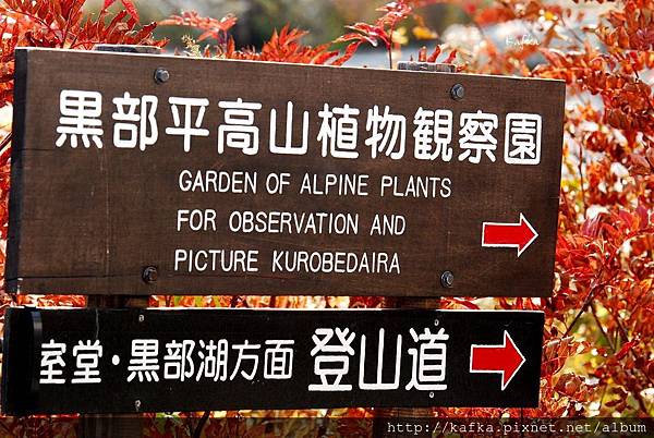 DSC_0184.JPG DSC_0184.JPG