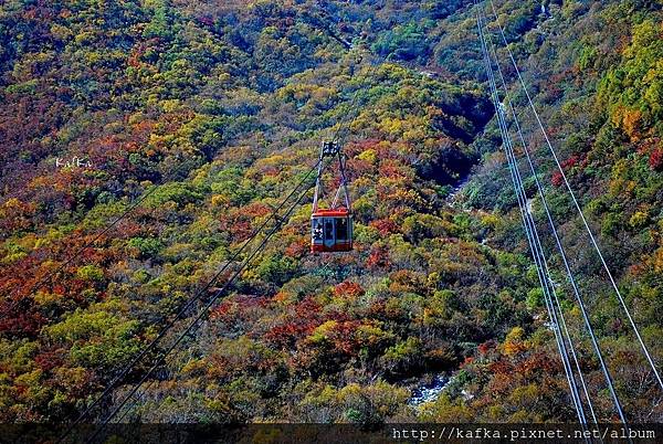 10DSC_9383.JPG 10DSC_9383.JPG