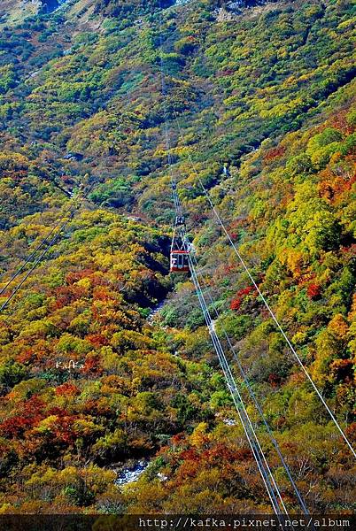 09DSC_9372.JPG 09DSC_9372.JPG