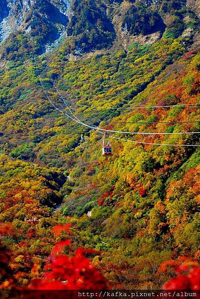 11DSC_9389.JPG 11DSC_9389.JPG