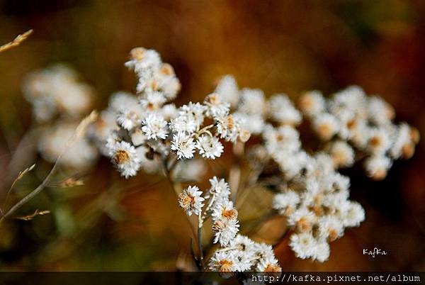 14DSC_9392.JPG 14DSC_9392.JPG