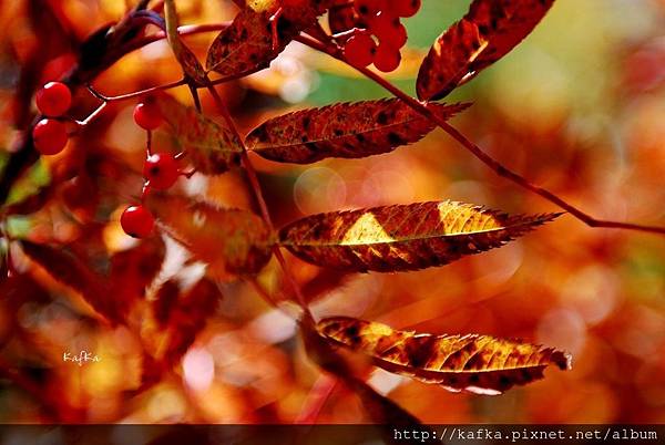 16DSC_9403.JPG 16DSC_9403.JPG