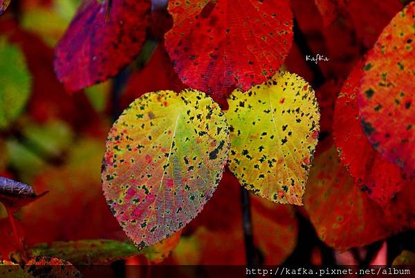 15DSC_9400.JPG 15DSC_9400.JPG