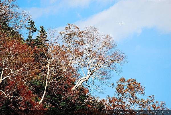 24DSC_9468.JPG 24DSC_9468.JPG