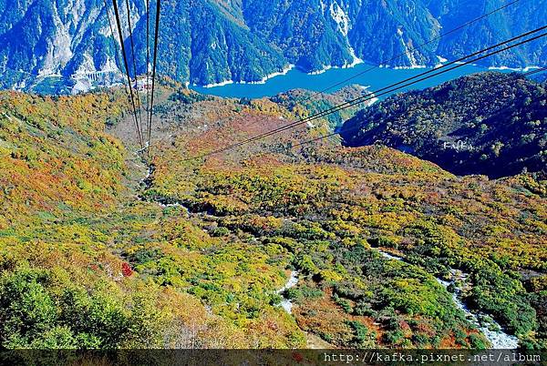 20DSC_9436.JPG 20DSC_9436.JPG