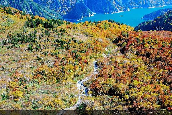 21DSC_9420.JPG 21DSC_9420.JPG