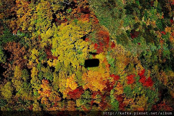 26DSC_9423.JPG 26DSC_9423.JPG