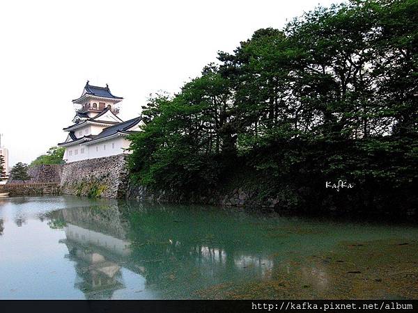 IMG_8416.JPG IMG_8416.JPG