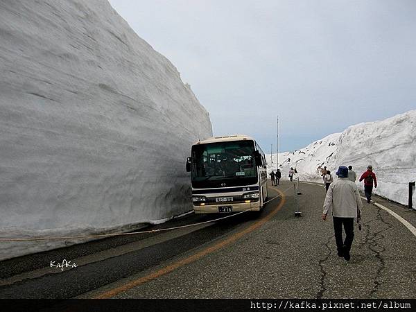 IMG_8522.JPG IMG_8522.JPG