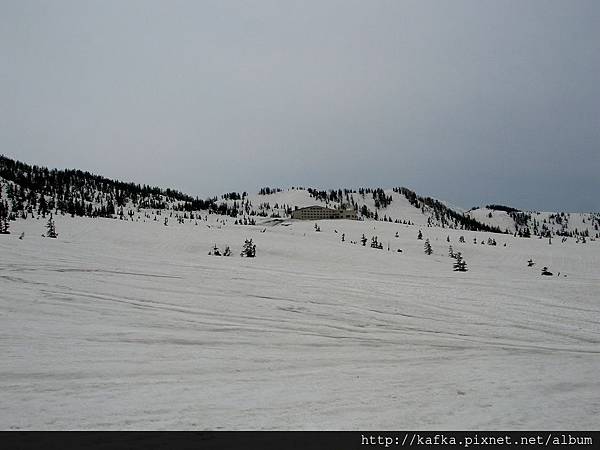 IMG_8483.JPG IMG_8483.JPG