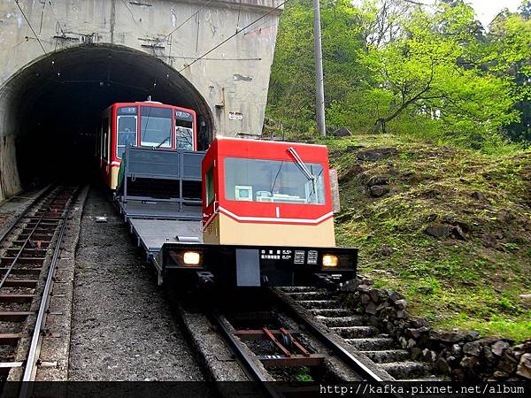 IMG_8445.JPG IMG_8445.JPG