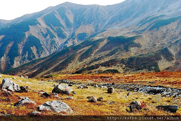 DSC_9814.JPG DSC_9814.JPG