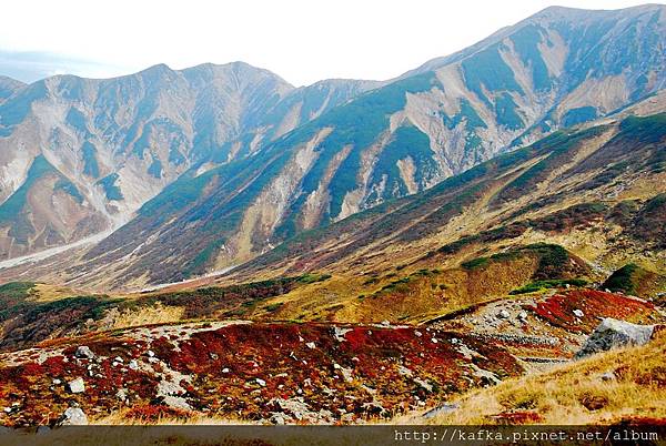 DSC_9824.JPG DSC_9824.JPG