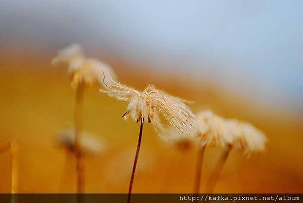 DSC_9826.JPG DSC_9826.JPG