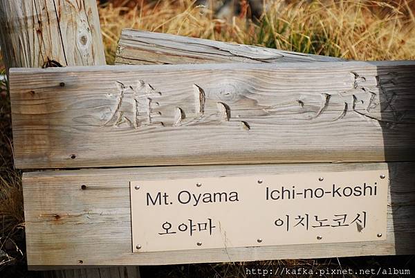 DSC_9831.JPG DSC_9831.JPG