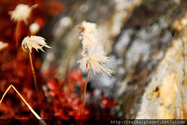 DSC_9828.JPG DSC_9828.JPG