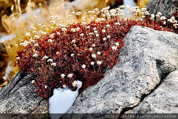 DSC_9825.JPG DSC_9825.JPG