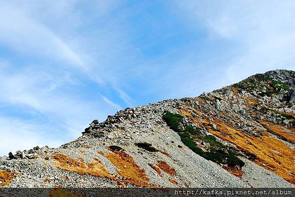 DSC_9881.JPG DSC_9881.JPG