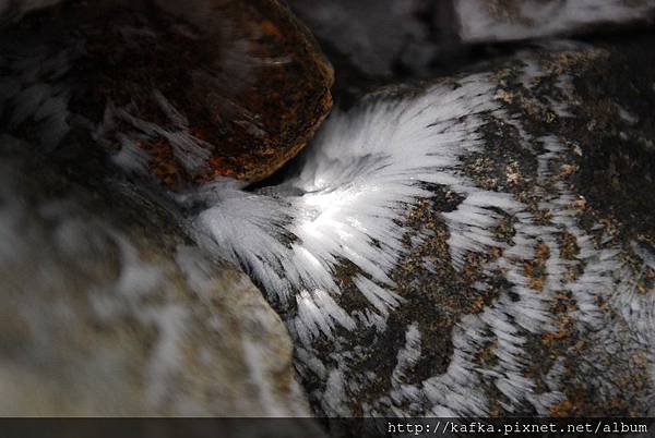 DSC_9887.JPG DSC_9887.JPG