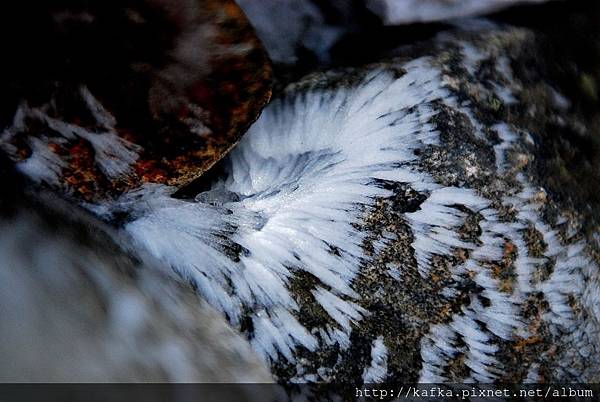 DSC_9892.JPG DSC_9892.JPG