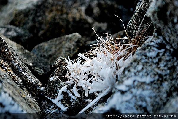 DSC_9935.JPG DSC_9935.JPG