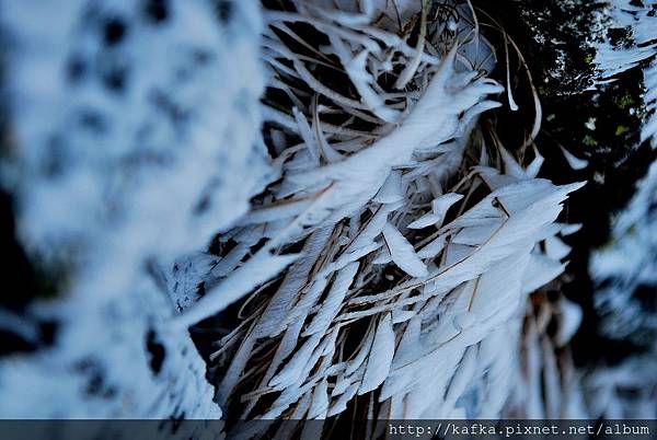 DSC_9937.JPG DSC_9937.JPG