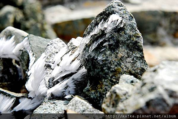 DSC_9969.JPG DSC_9969.JPG