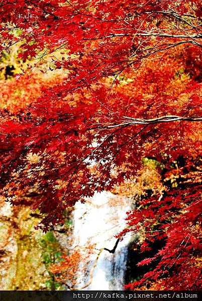 01DSC_9426.JPG 01DSC_9426.JPG