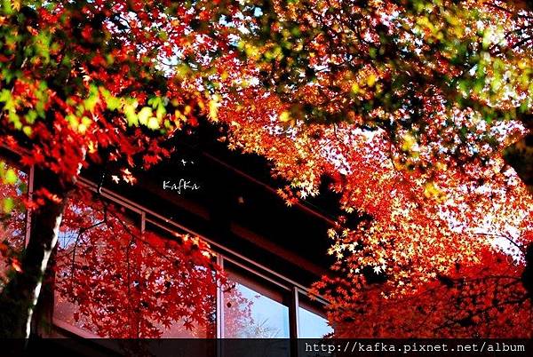 04DSC_9658.JPG 04DSC_9658.JPG