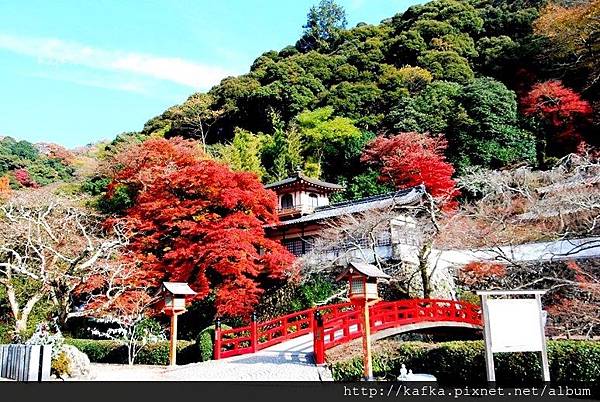 2DSC_9247.JPG 2DSC_9247.JPG