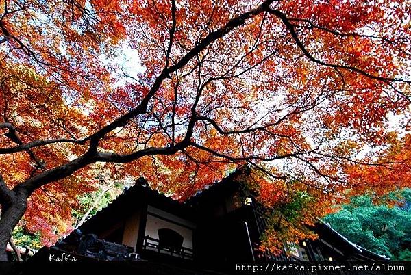 05DSC_9207.JPG 05DSC_9207.JPG