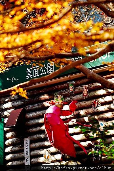 08DSC_9599.JPG 08DSC_9599.JPG