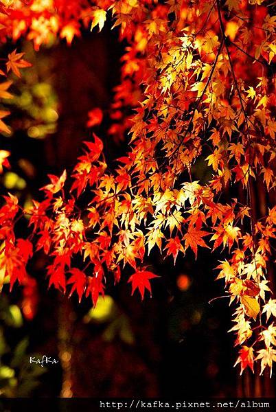 03DSC_9580.JPG 03DSC_9580.JPG