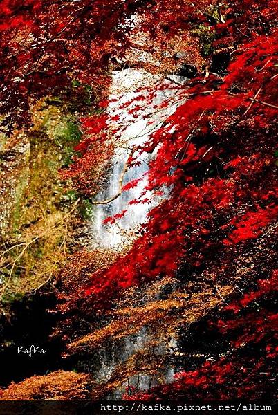 02DSC_9433.JPG 02DSC_9433.JPG