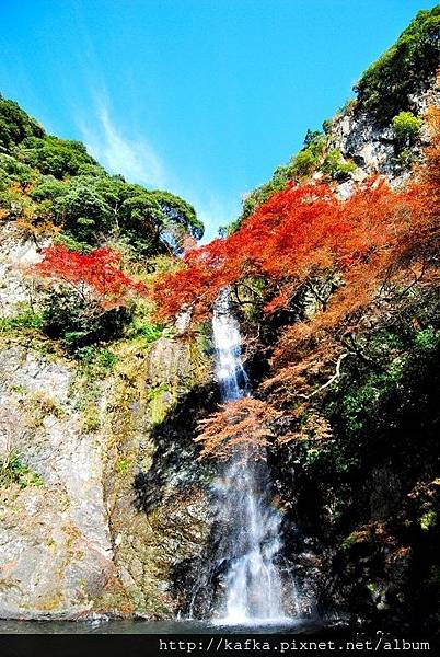 10DSC_9359.JPG 10DSC_9359.JPG