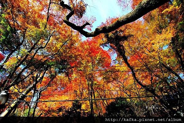 07DSC_9307.JPG 07DSC_9307.JPG