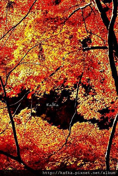 06DSC_9479.JPG 06DSC_9479.JPG