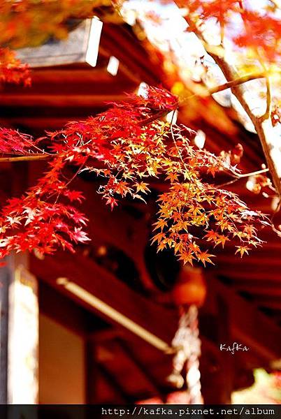 18DSC_9640.JPG 18DSC_9640.JPG