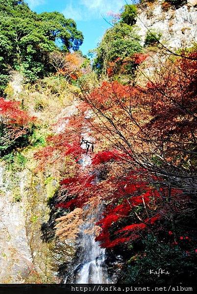 19DSC_9369.JPG 19DSC_9369.JPG