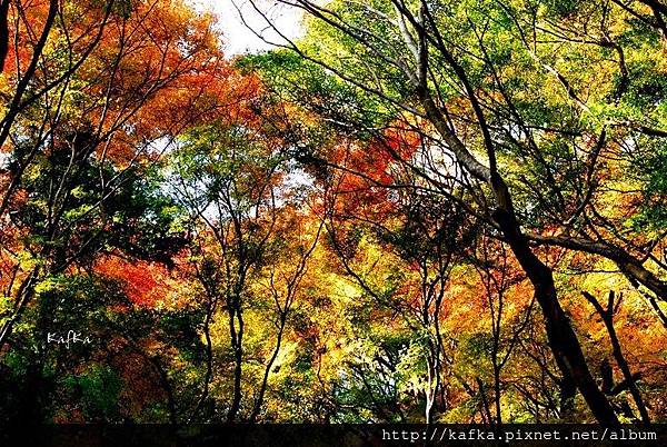 17DSC_9506.JPG 17DSC_9506.JPG