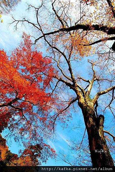 09DSC_9235.JPG 09DSC_9235.JPG