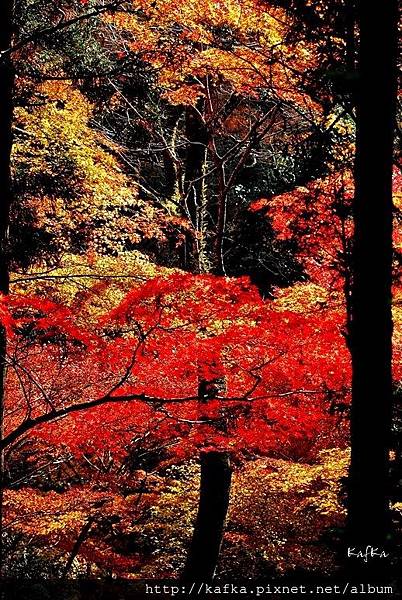 14DSC_9511.JPG 14DSC_9511.JPG