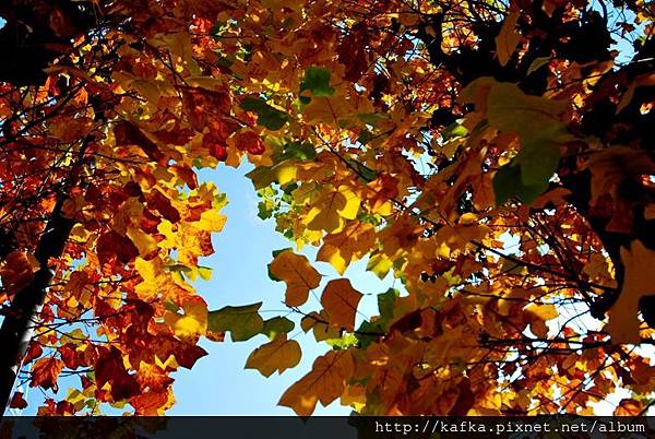 DSC_9188.JPG DSC_9188.JPG