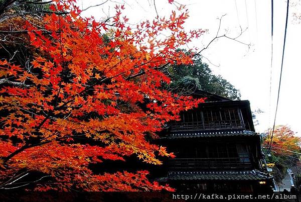 DSC_9201.JPG DSC_9201.JPG