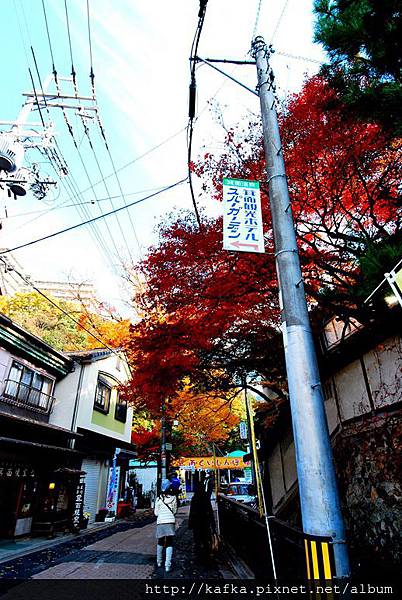 DSC_9194.JPG DSC_9194.JPG