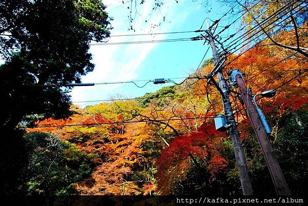 DSC_9212.JPG DSC_9212.JPG