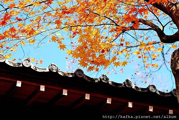 DSC_9625.JPG DSC_9625.JPG