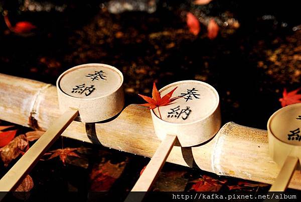 DSC_9630.JPG DSC_9630.JPG