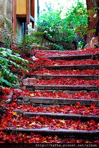 DSC_9654.JPG DSC_9654.JPG