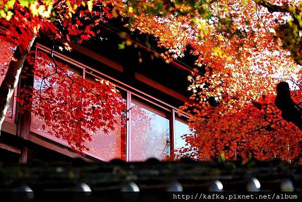 DSC_9659.JPG DSC_9659.JPG